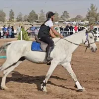 اسب نریان دوخون