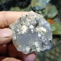 کلکسیونی|کلکسیون اشیاء عتیقه|کرمان, |دیوار