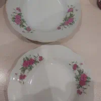 بشقاب چینی خورشت خوری گل سرخی