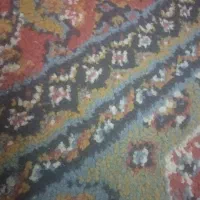 سهم من از دنیا یک فرش است