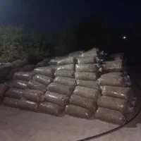 خوراک دام