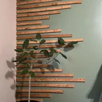 دکوراسیون داخلی دکوراژ|خدمات پیشه و مهارت|هشتگرد, فاز ۱ مهستان|دیوار