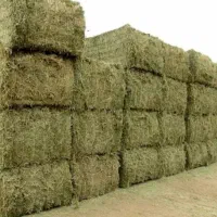 بیده و یونجه