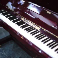 پیانو|پیانو، کیبورد، آکاردئون|شیراز, فلکه گاز|دیوار