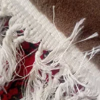 فرش ۱۲ متر جنس ابریشمی|فرش|رشت, هلال احمر|دیوار