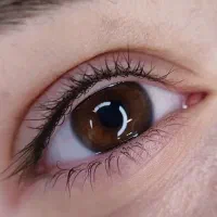 بن مژه ۲۹۰ متن آگهی بخون