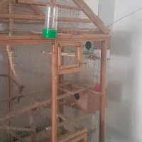 فروش فوری قفس چوبی بزرگ|لوازم جانبی حیوانات|بوشهر, |دیوار