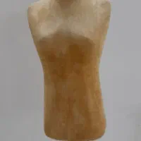 مانکن سوزن خور