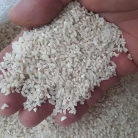 نیمدانه هاشمی  از شهرستان شفت چوبر ۱۲ کیلو|خوردنی و آشامیدنی|رشت, پل تالشان|دیوار