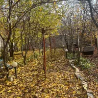 ۶۵۰متر باغچه کردان|فروش دفتر صنعتی، کشاورزی، تجاری|کرج, بهشت سکینه|دیوار