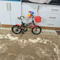 دوچرخه 12بچگانه