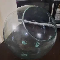 تنگ ماهی، ظرف تراریوم