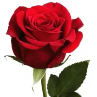 راهنمایی خیریه