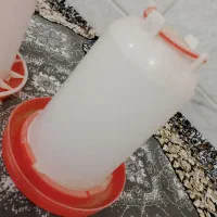ظرف غذای مرغ و جوجه