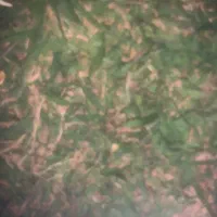 منزل رهنی ۴۵۰ بلوار بسیج