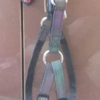 قلاده کتفی سگ|لوازم جانبی حیوانات|رشت, انصاری|دیوار