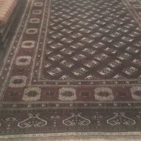 فرش های دستبافت قدیمی|فرش|گنبد کاووس, |دیوار