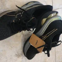 کتانی  asics gel kinsei max|کیف، کفش، کمربند|رودهن, |دیوار