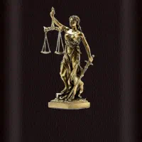 وکیل دادگستری/ پایه یک