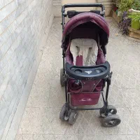 کالسکه دلیجان|کالسکه و لوازم جانبی|تهران, شاهین|دیوار