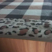 تخت دو طبقه مدل کاپریس برند آوید به همراه میزتحریر|تخت و سرویس خواب|همدان, |دیوار