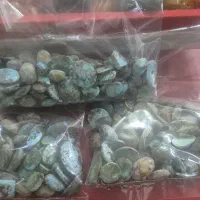 فیروزه اصل نیشاپور