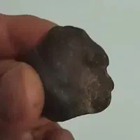 سنگ شگفت انگیز|کلکسیون اشیاء عتیقه|کرمانشاه, |دیوار