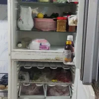 همه اجناس|سایر لوازم برقی|دلند, |دیوار