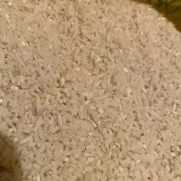 سر لاشه درشت هاشمی گیلان|خوردنی و آشامیدنی|محمدیه-قزوین, |دیوار