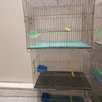 قفس پرنده|لوازم جانبی حیوانات|تهران, قصر فیروزه ۱|دیوار