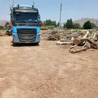 خرید فروش چوب درختان گردو قره آغاج خره شال کوشا