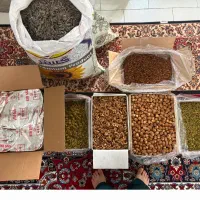 خشکبار به قیمت مولوی