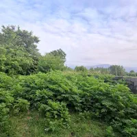 ۳۰۰متر کامل مسکونی جای دنج در دل طبیعت|فروش زمین و ملک کلنگی|شفت, |دیوار