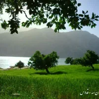 مربی فوتبال بانوان