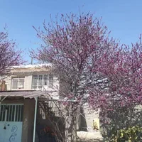 باغ کهن با اصالت، سنددار، با بناقدیمی و خونه باغ|فروش زمین و ملک کلنگی|رباط‌کریم, انجم آباد|دیوار