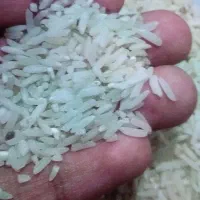 برنج امساله معطر