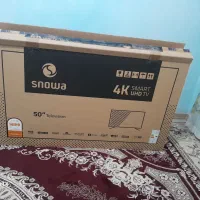 کارتن تلویزیون