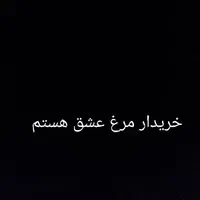 مرغ عشق