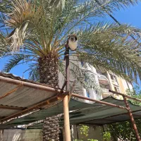 تعمیرات،فروش،نصب دوربین مداربسته،کرکره‌،جک بازویی|دوربین مداربسته|بندر ماهشهر, |دیوار