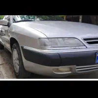 زانتیا نقره ای