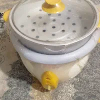 پلوپز بخارپز