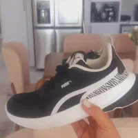 کتونی پوما نو وارداتی|کیف، کفش، کمربند|رامسر, |دیوار