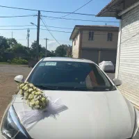اجاره ماشین عروس|خدمات پذیرایی، مراسم|رشت, گلسار|دیوار