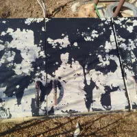 کابینت فلزی|آب‌چکان و نظم‌دهنده ظروف|سبزوار, قصبه شرقی|دیوار