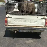 قوچ دزدیده شده|حیوانات|رزن, |دیوار