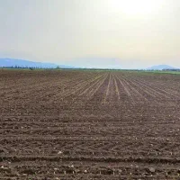 زمین عربی 450 1200 1700