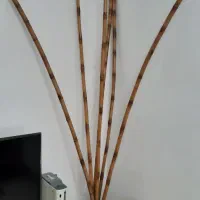 چوب بامبو تزئینی|صنایع دستی و سایر لوازم تزئینی|رشت, پیرکلاچای|دیوار