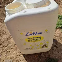 بیست لیتری درجه یک در حد نو در گشاد