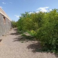 اجاره روزانه/هفتگی/ماهانه آپارتمان ۳۰۰۰ متری|اجارهٔ کوتاهمدت آپارتمان و سوئیت|فردوس (خراسان), |دیوار