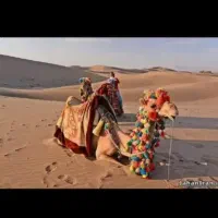 سفرکویردرشب راباماتجربه کنید|تور و چارتر|نسیمشهر, |دیوار